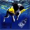SMELLZ LIKE・・・～a tribute to ×××××××～ジャケット