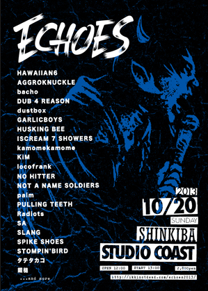 echoes2013fly1.jpg