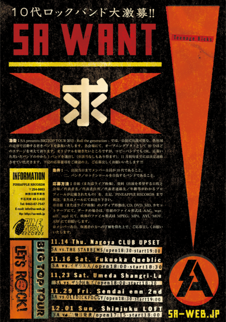sa_flyer_2013_b.png